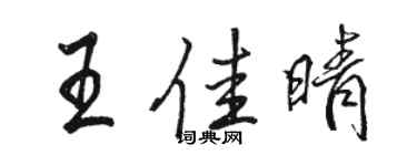 骆恒光王佳晴行书个性签名怎么写