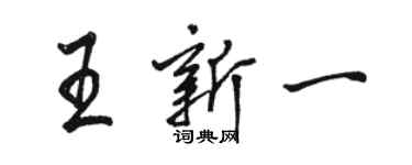 骆恒光王新一行书个性签名怎么写