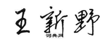 骆恒光王新野行书个性签名怎么写