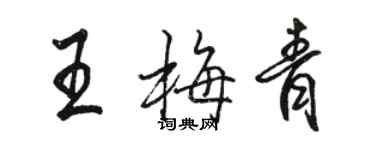 骆恒光王梅青行书个性签名怎么写