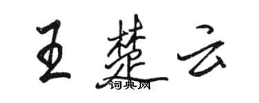 骆恒光王楚云行书个性签名怎么写