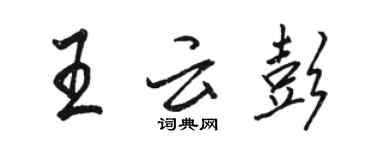 骆恒光王云彭行书个性签名怎么写