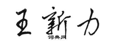 骆恒光王新力行书个性签名怎么写