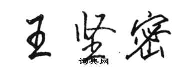 骆恒光王坚密行书个性签名怎么写