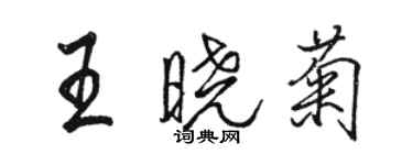 骆恒光王晓菊行书个性签名怎么写