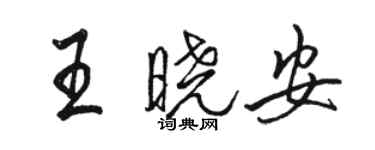 骆恒光王晓安行书个性签名怎么写