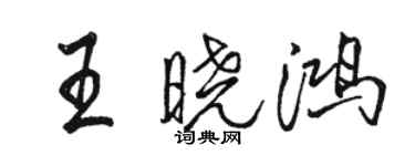 骆恒光王晓鸿行书个性签名怎么写