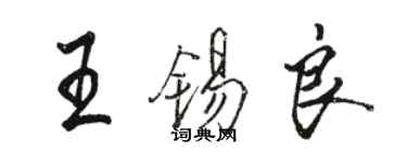 骆恒光王锡良行书个性签名怎么写