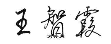 骆恒光王智霞行书个性签名怎么写
