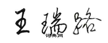 骆恒光王瑞路行书个性签名怎么写