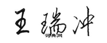 骆恒光王瑞冲行书个性签名怎么写