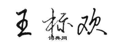 骆恒光王标欢行书个性签名怎么写