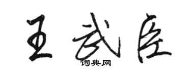 骆恒光王武臣行书个性签名怎么写
