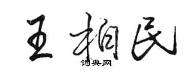 骆恒光王柏民行书个性签名怎么写