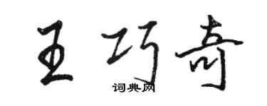 骆恒光王巧奇行书个性签名怎么写
