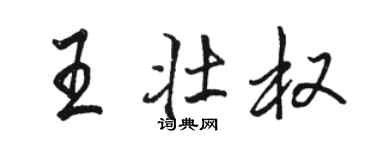 骆恒光王壮权行书个性签名怎么写