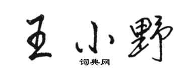 骆恒光王小野行书个性签名怎么写