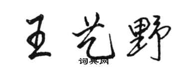 骆恒光王艺野行书个性签名怎么写