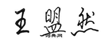 骆恒光王盟然行书个性签名怎么写