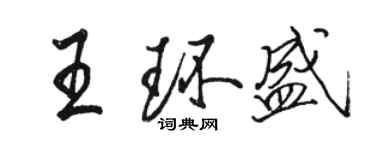 骆恒光王环盛行书个性签名怎么写