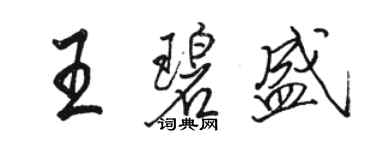 骆恒光王碧盛行书个性签名怎么写