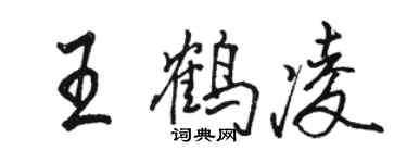 骆恒光王鹤凌行书个性签名怎么写