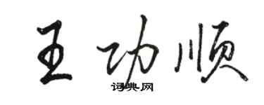 骆恒光王功顺行书个性签名怎么写