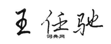 骆恒光王任驰行书个性签名怎么写
