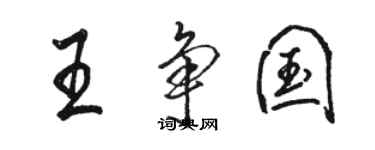 骆恒光王争国行书个性签名怎么写
