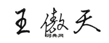 骆恒光王傲天行书个性签名怎么写