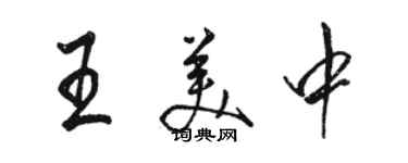 骆恒光王美中行书个性签名怎么写