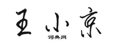 骆恒光王小京行书个性签名怎么写