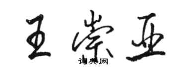 骆恒光王崇亚行书个性签名怎么写