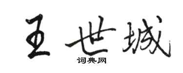 骆恒光王世城行书个性签名怎么写