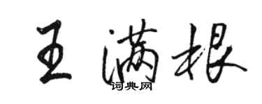 骆恒光王满根行书个性签名怎么写
