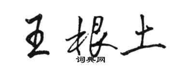 骆恒光王根土行书个性签名怎么写