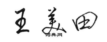 骆恒光王美田行书个性签名怎么写