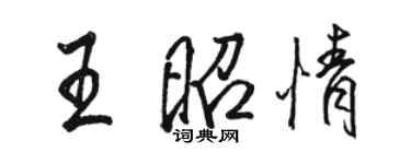 骆恒光王昭情行书个性签名怎么写