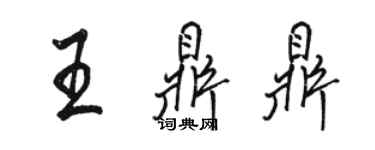骆恒光王鼎鼎行书个性签名怎么写