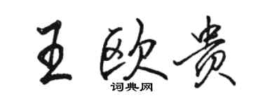 骆恒光王欧贵行书个性签名怎么写
