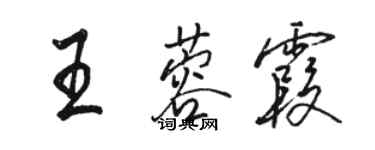 骆恒光王蓉霞行书个性签名怎么写