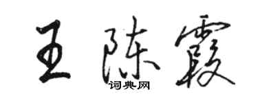 骆恒光王陈霞行书个性签名怎么写