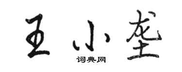 骆恒光王小垄行书个性签名怎么写