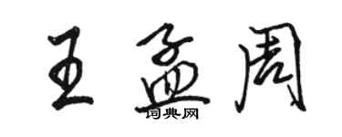 骆恒光王孟周行书个性签名怎么写