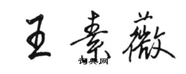 骆恒光王素薇行书个性签名怎么写