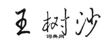 骆恒光王树沙行书个性签名怎么写