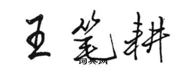 骆恒光王笔耕行书个性签名怎么写