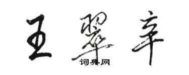骆恒光王翠辛行书个性签名怎么写