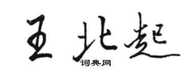 骆恒光王北起行书个性签名怎么写