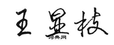 骆恒光王显枝行书个性签名怎么写
